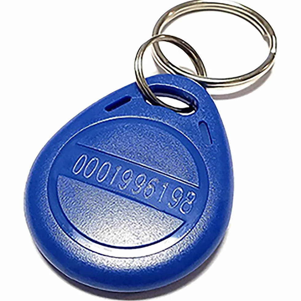 HERNAS 100pcs 125KHz RFID Key Fob Scheda di controllo accessi, ABS di alta qualità EM4100 Portachiavi RFID Porta chiave, Conforme ISO14443A, Sola lettura