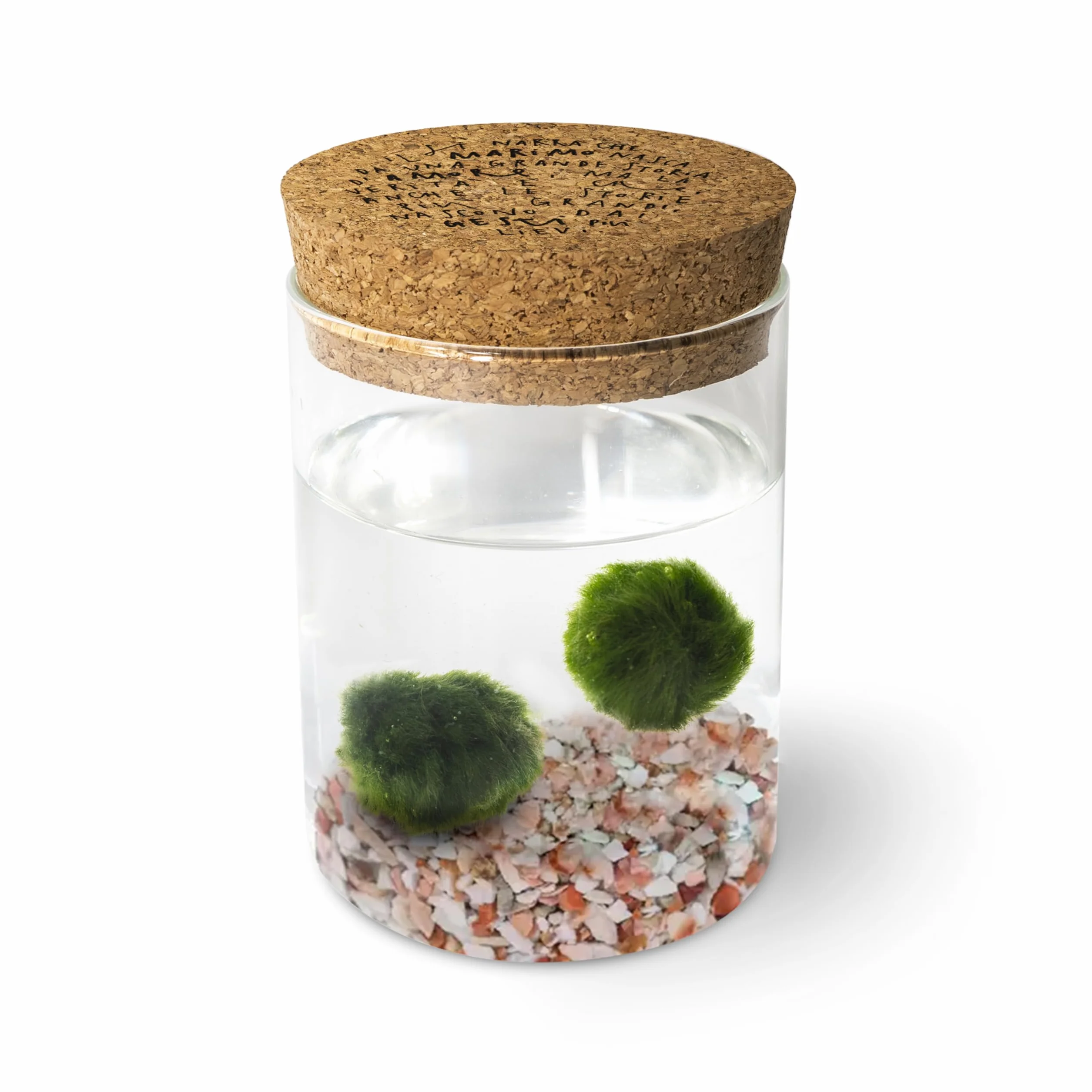KAKI La Felicità è Nelle Piccole Cose Marimo Coppia originale vaso vetro con tappo sughero diametro 8cm altezza 11cm Made in Italy