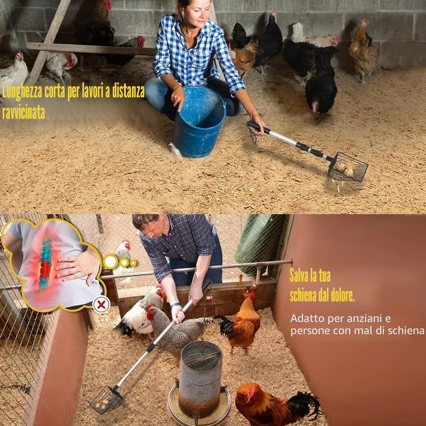 1 x Accessori per pollaio Pala per escrementi e setaccio, separazione feci e detriti dalla sabbia, lettiera per galline