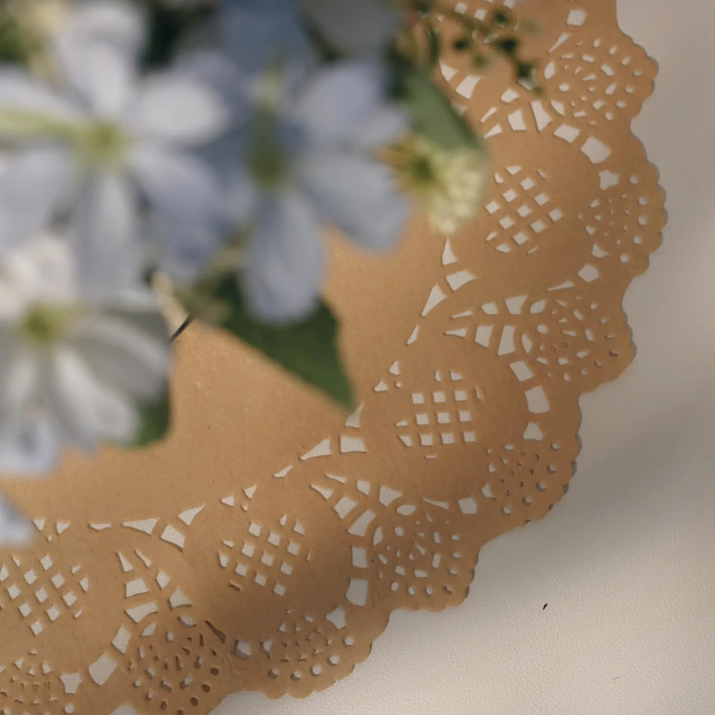 Phantomon 100 centrini di carta marrone pizzo 30,5 cm tovagliette usa e getta naturali ecologiche