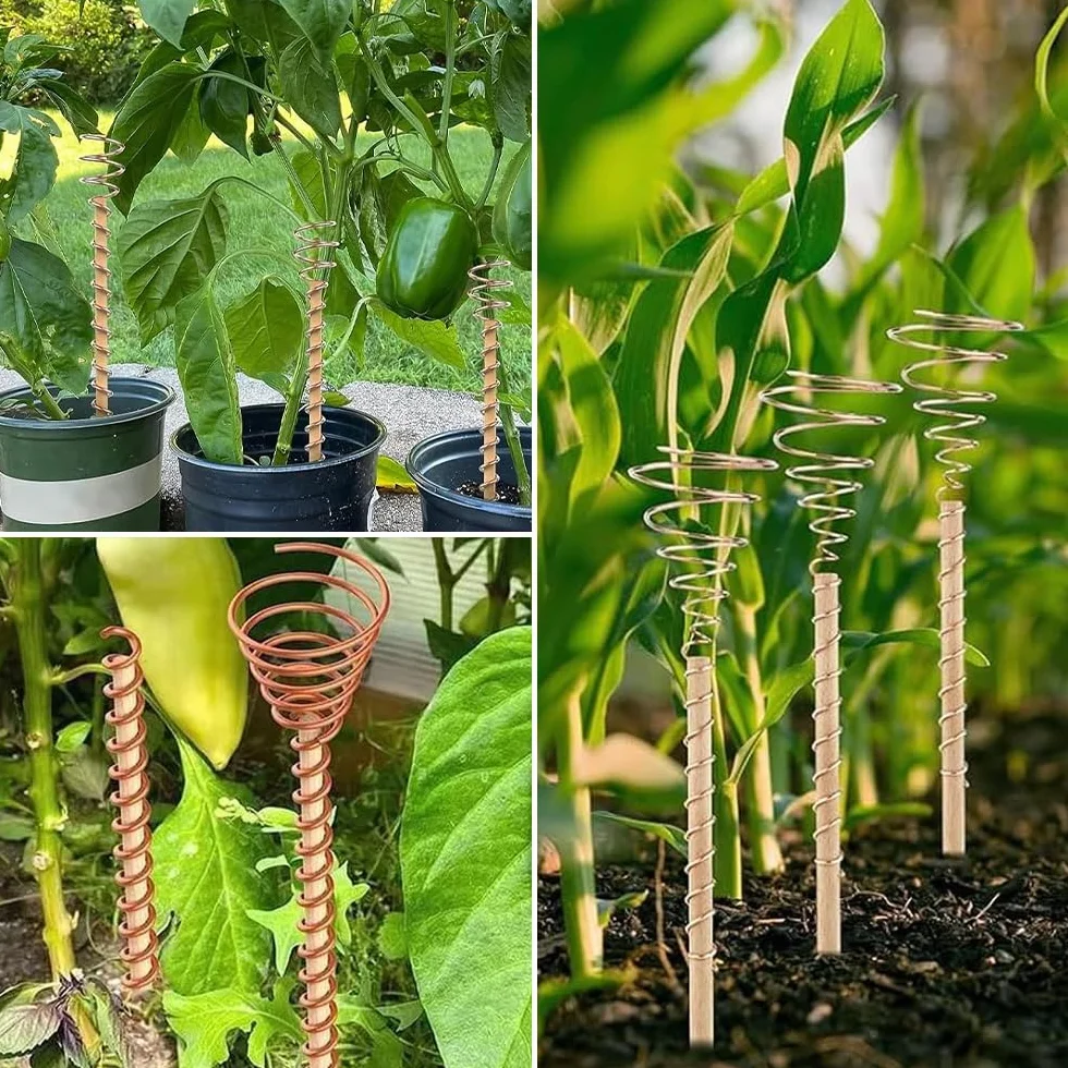 20m Electroculture Giardinaggio Filo di Rame, 99,9% Filo Rame Puro Calibro 16 Filo/1,3 mm di Rame Elettrocoltura Nudo per Giardino, Coltivazione di Piante e Ortaggi